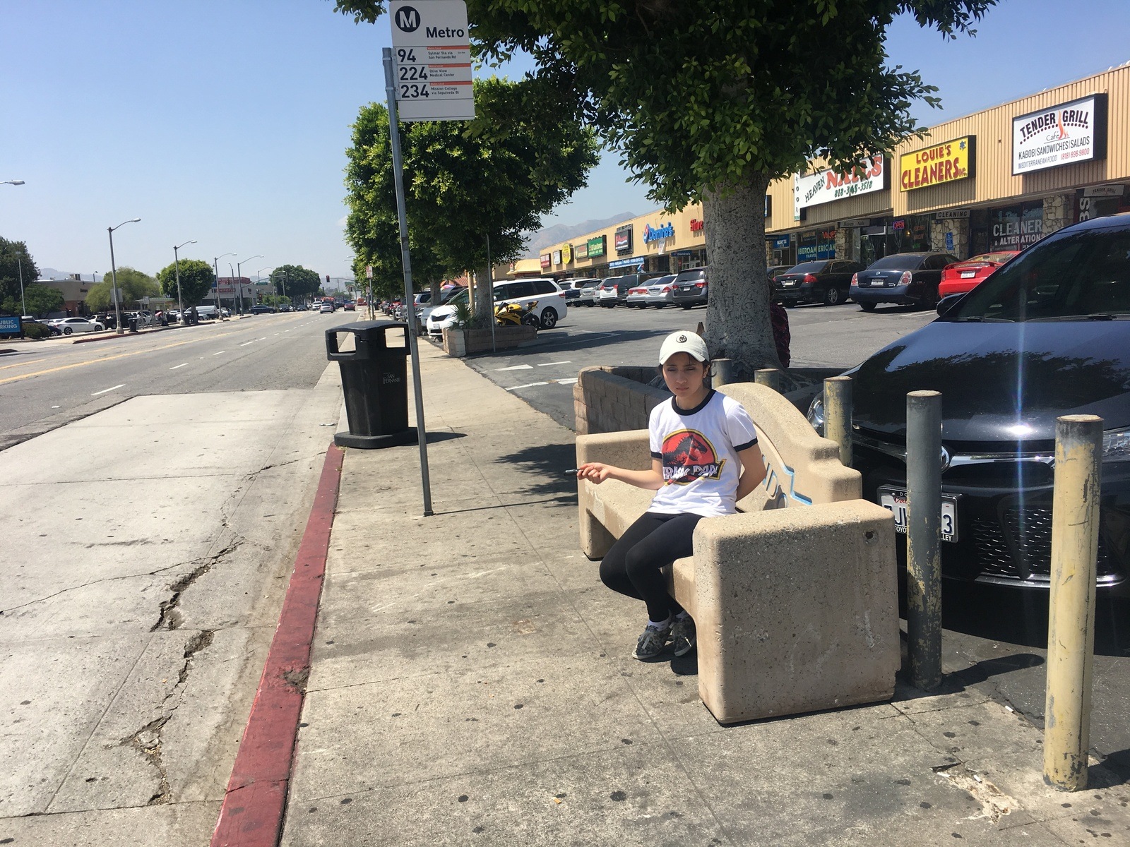 effects of trees and other types of land cover on heat-vulnerable neighborhoods of los angeles