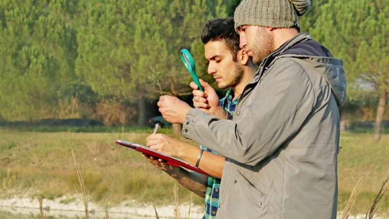 behind a new “genius” award for young environmentalists