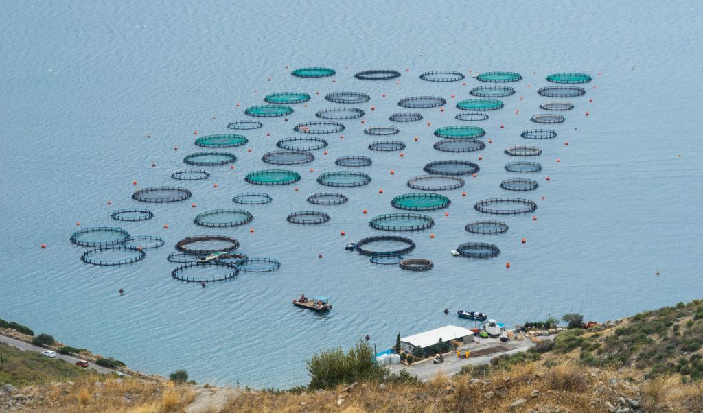 a tiny fraction of oceans could satisfy the world’s fish demand