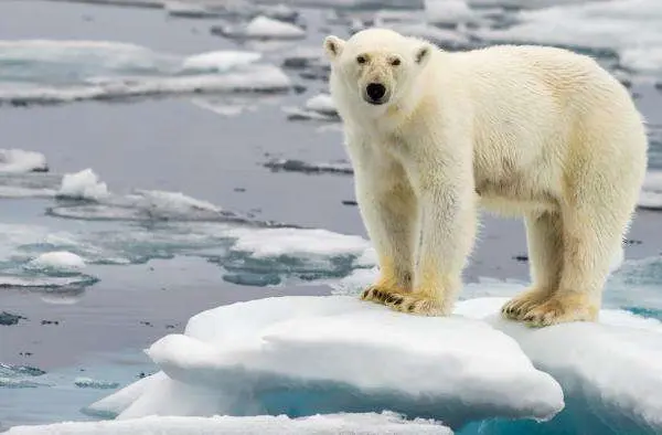 climate gloom and doom? bring it on. but we need stories about taking action, too