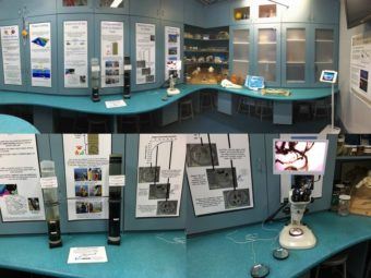 public exhibit on the oxygen minimum zone in the santa monica basin