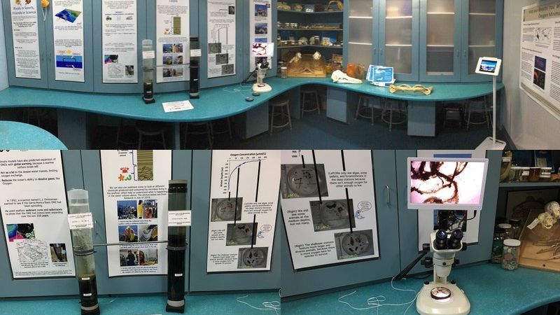 public exhibit on the oxygen minimum zone in the santa monica basin