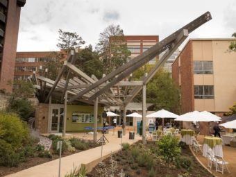 ucla’s mildred e. mathias botanical garden is ready for its close-up