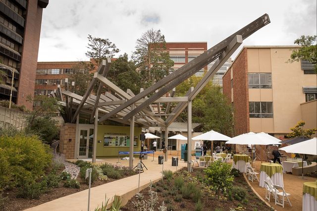 ucla’s mildred e. mathias botanical garden is ready for its close-up