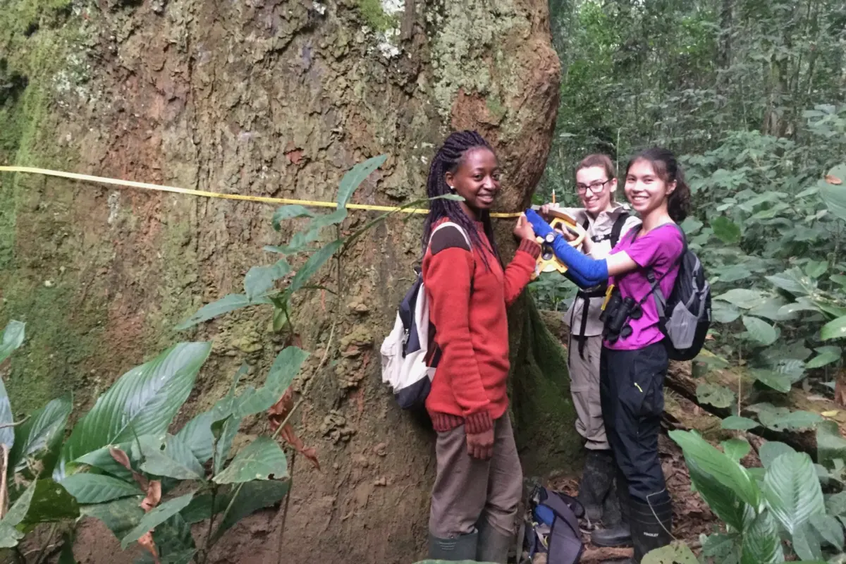 leonardo dicaprio foundation awards $20 million in environmental grants
