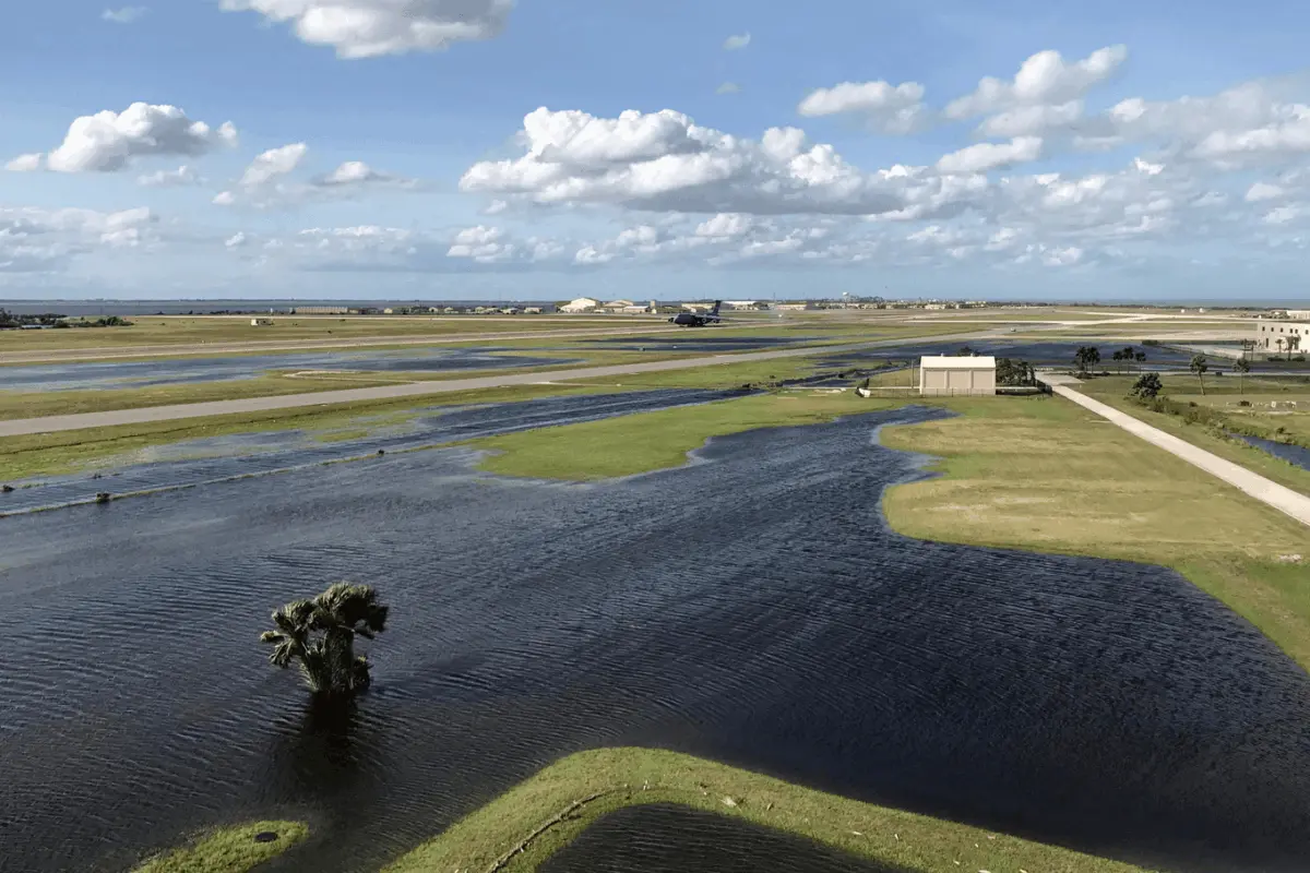 a crash course on climate change at la brea tar pits
