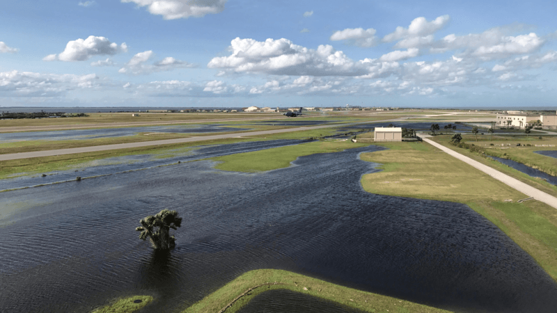 a crash course on climate change at la brea tar pits