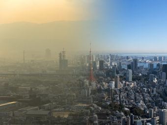 air pollution kills millions each year. here’s how cities can fight it.
