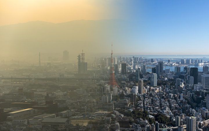 air pollution kills millions each year. here’s how cities can fight it.