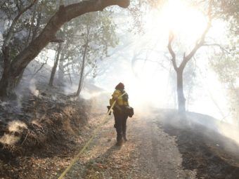 will northern california soon have southern california’s climate?