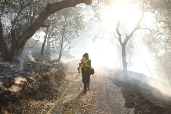 will northern california soon have southern california’s climate?