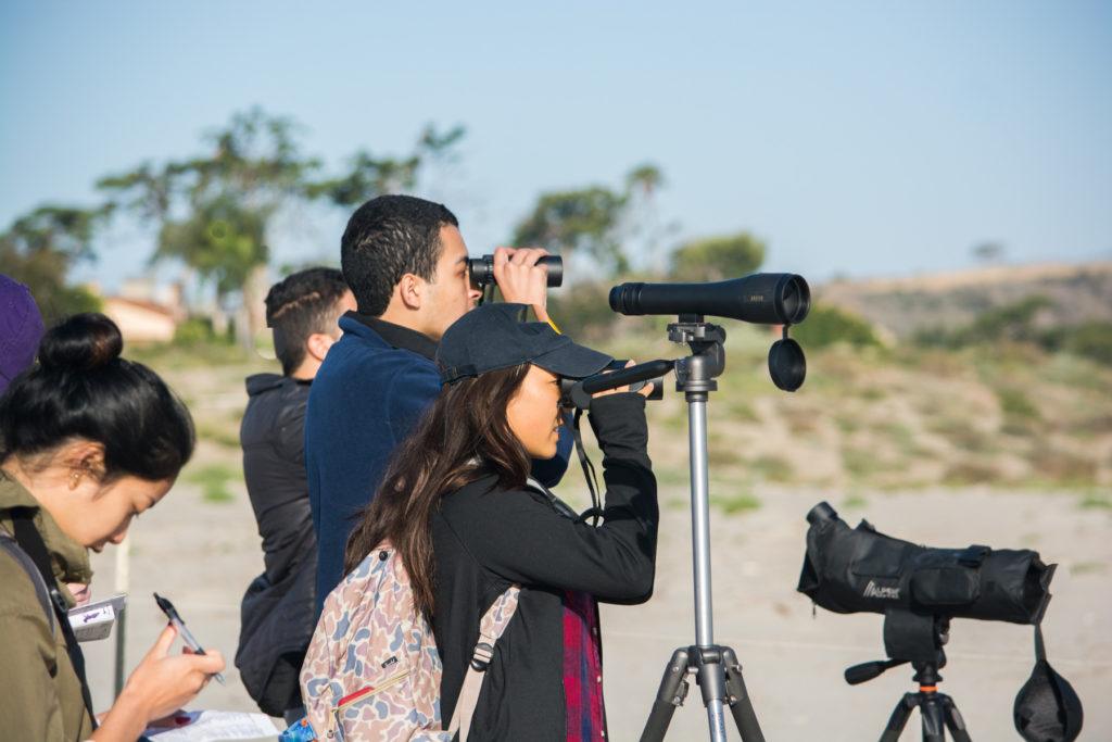 ucla begins accepting applications for new ph.d. in environment and sustainability