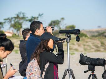 ucla begins accepting applications for new ph.d. in environment and sustainability