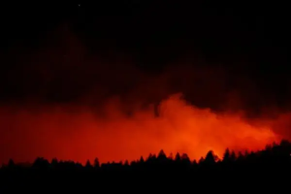a simple but seldom-used tactic to prevent wildfires: turn off the power grid when winds pick up