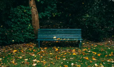 rsz park- -