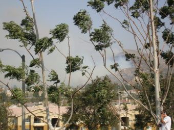 the santa ana winds: a cultural and destructive force in southern california