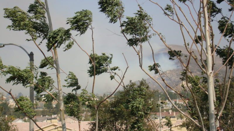 the santa ana winds: a cultural and destructive force in southern california