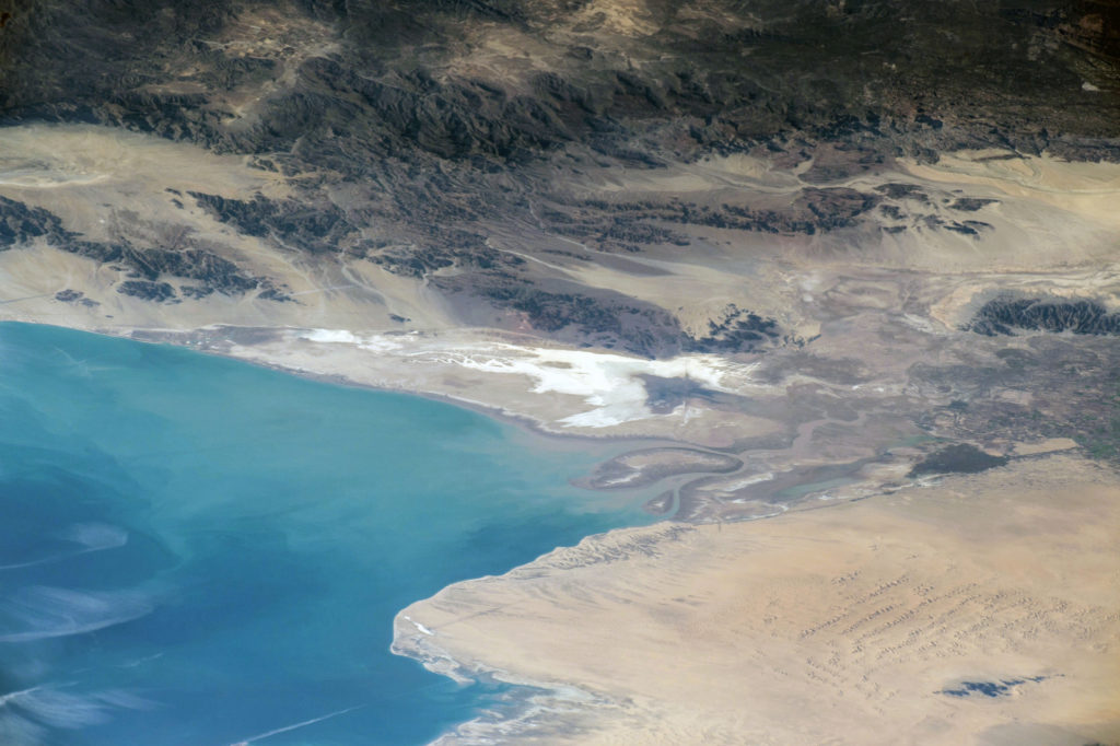 colorado river delta fish risk extinction through interbreeding due to lack of freshwater