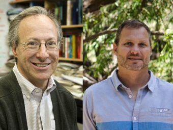 ucla professors paul barber, robert wayne to enhance undergraduate stem education