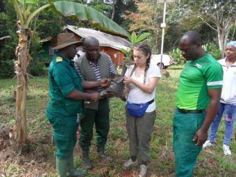 waning plantain yields in rural cameroon hurt college attendance