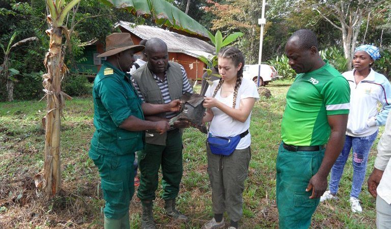 waning plantain yields in rural cameroon hurt college attendance