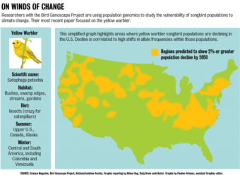 bird gene-mapping project studies biodiversity, effect of climate change