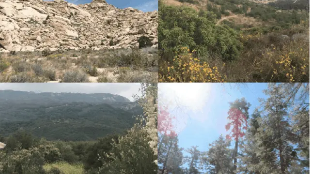 toward a conservation physiology of californian flora: assessing drought vulnerability across species and ecosystems