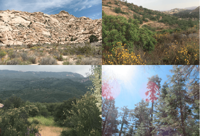 toward a conservation physiology of californian flora: assessing drought vulnerability across species and ecosystems