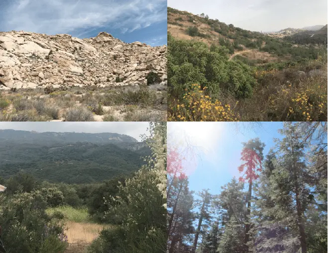 toward a conservation physiology of californian flora: assessing drought vulnerability across species and ecosystems