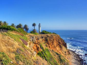 how changes in sea level and geography affect genetics of coastal marine life