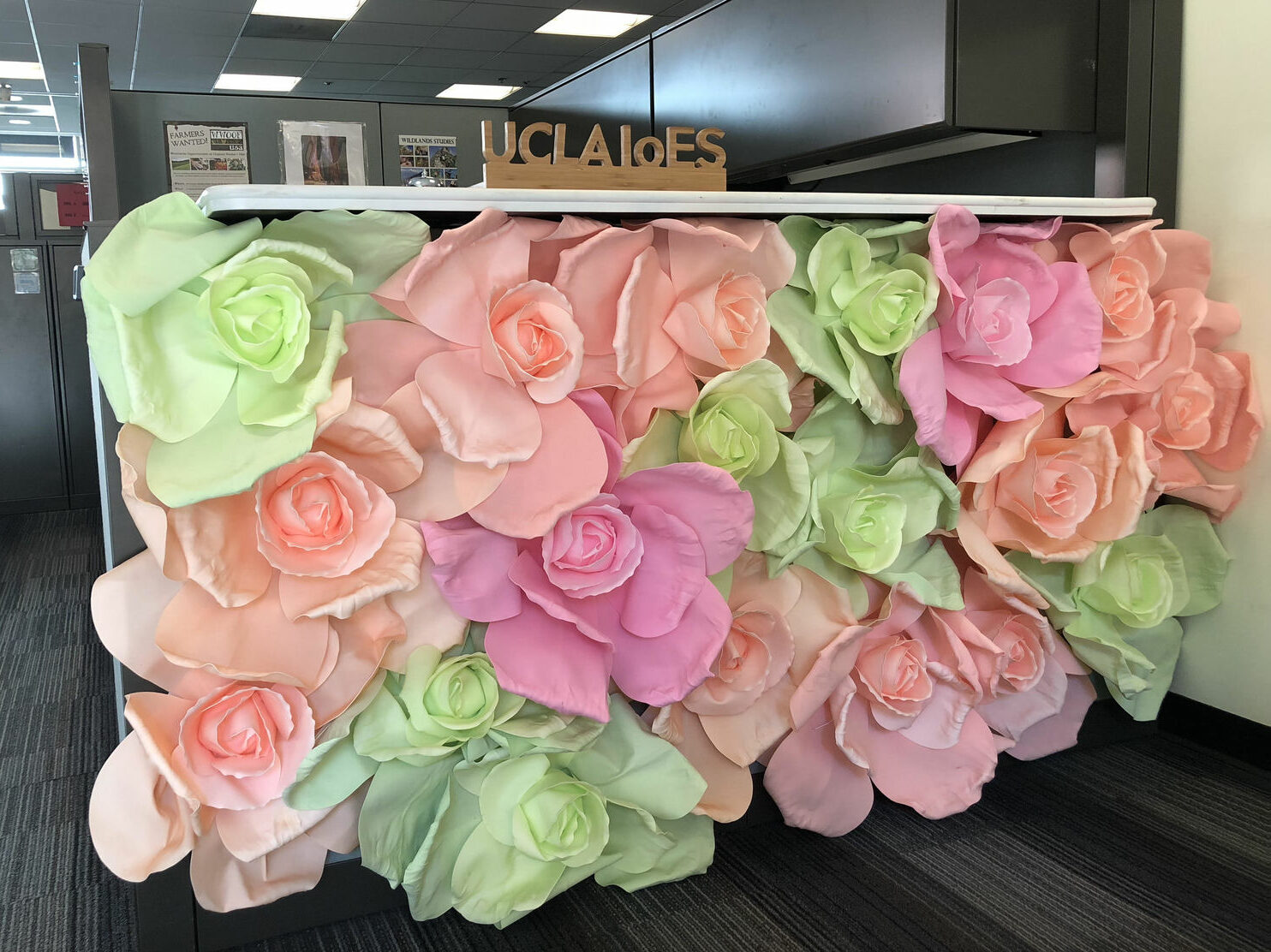 ioes’s ucla office is now los angeles green business certified