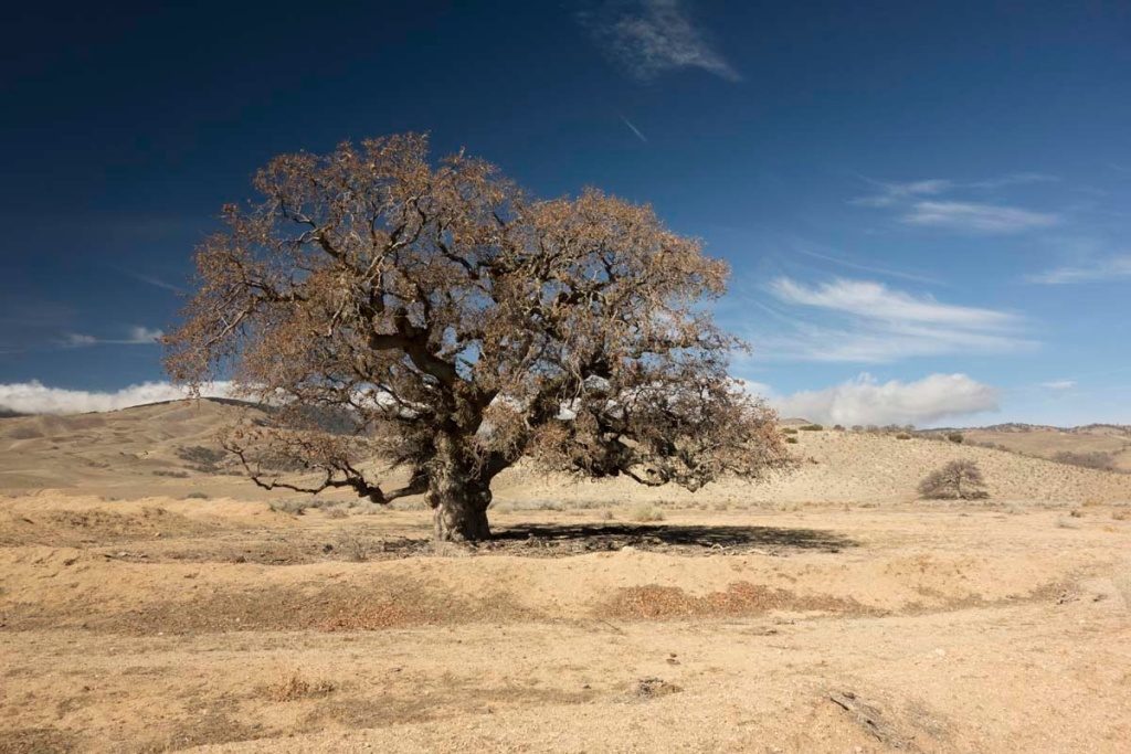 ‘keep saving water’: ucla water expert wishes state never declared drought ‘over’
