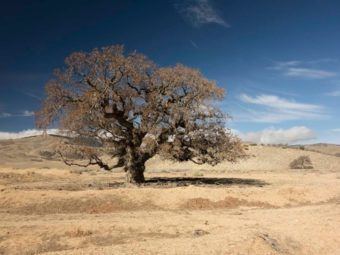 ‘keep saving water’: ucla water expert wishes state never declared drought ‘over’