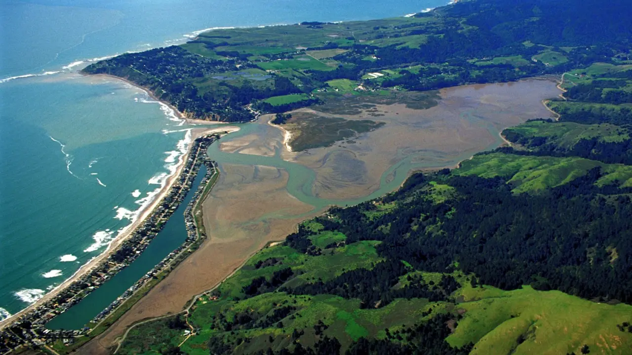 rising sea levels put pacific salt marshes at risk for extinction, study finds