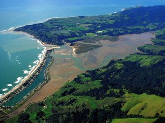 rising sea levels put pacific salt marshes at risk for extinction, study finds