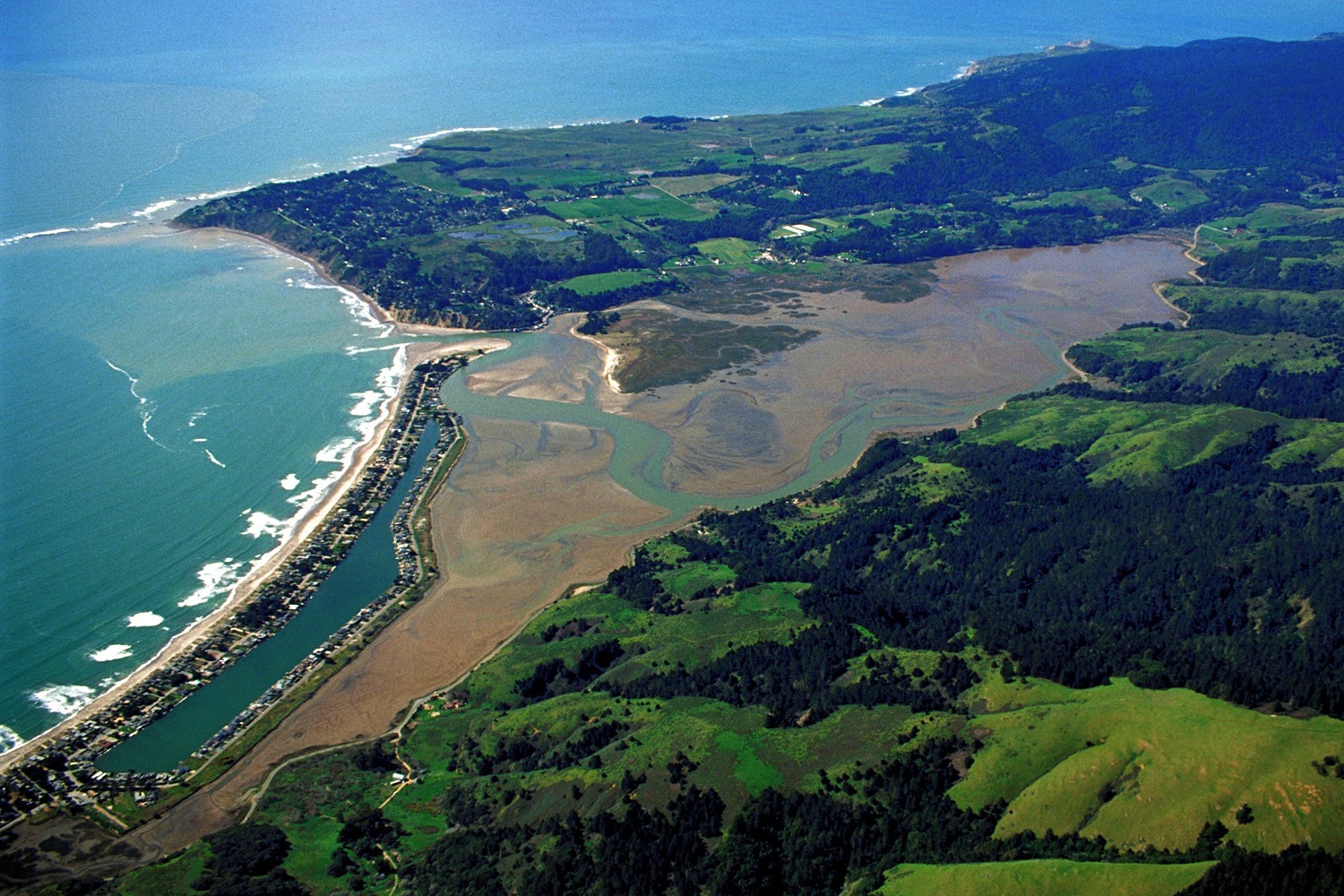 rising sea levels put pacific salt marshes at risk for extinction, study finds