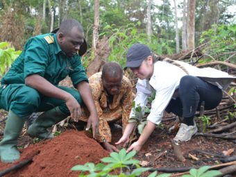 center for tropical research celebrates 20 years of science and conservation