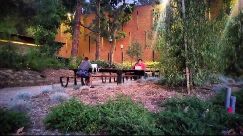 native landscaping team photo stream: winter 2018