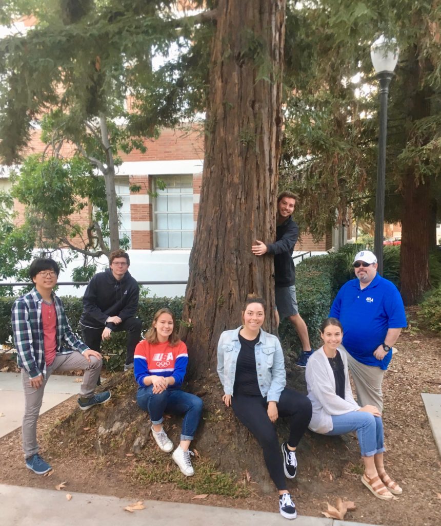 native landscaping team photo stream: winter 2018