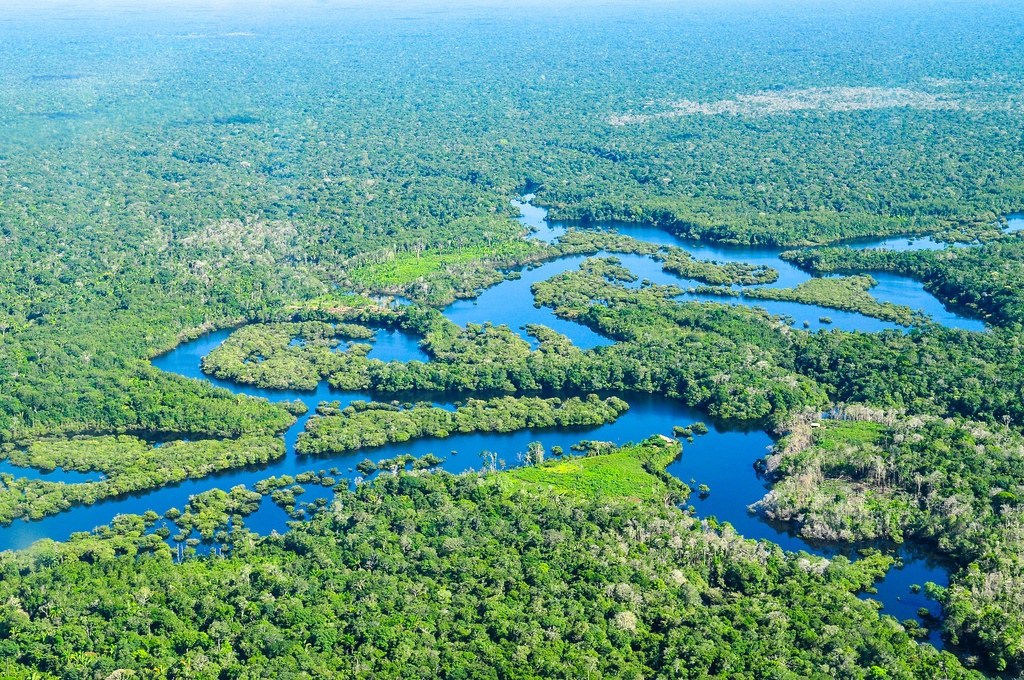 phylogenetic classification of the world’s tropical forests