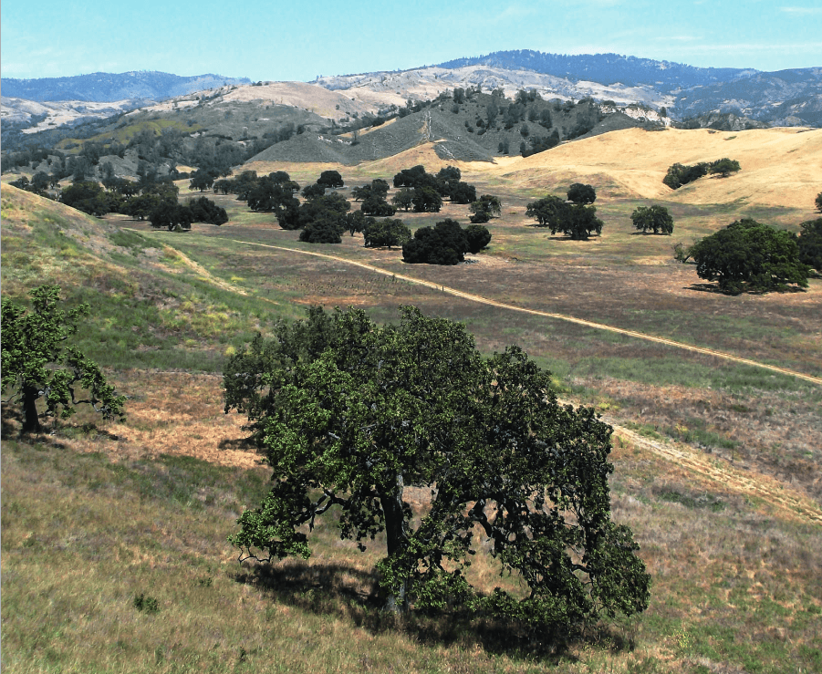 former ctr graduate published in ecosphere