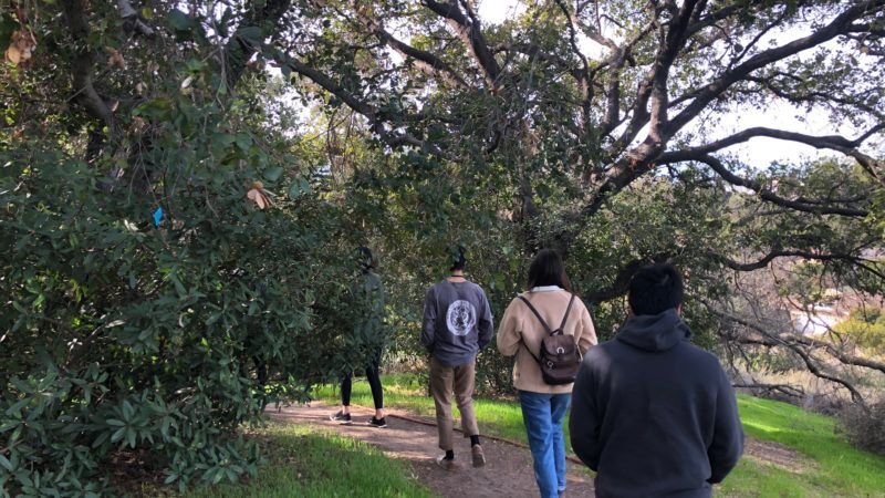 urban nature laboratory team photo stream: winter 2018