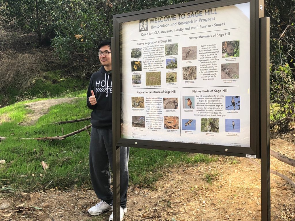 urban nature laboratory team photo stream: winter 2018