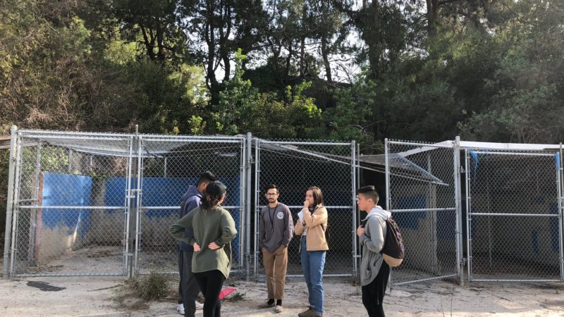 urban nature laboratory team photo stream: winter 2018