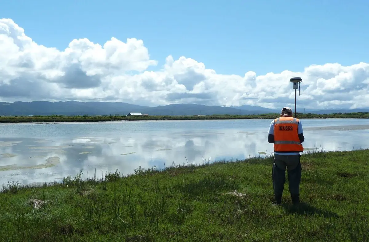 salt marshes will vanish in less than a century if seas keep rising and california keeps building, study finds