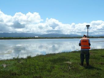 salt marshes will vanish in less than a century if seas keep rising and california keeps building, study finds