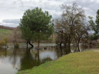 study predicts wetter winters and climate “whiplash” in california’s future