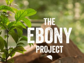 the ebony project