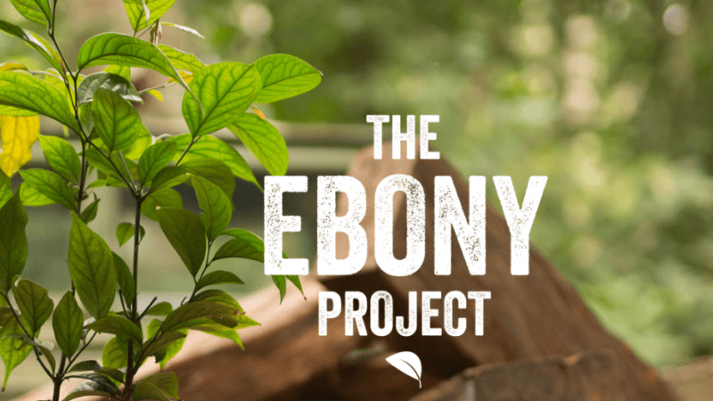 the ebony project