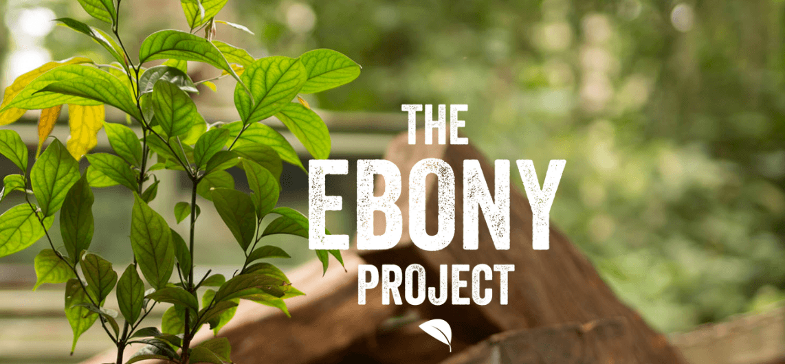 the ebony project